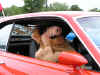 Pict0073 copy.jpg (168673 bytes)