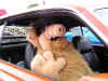Pict0074 copy.jpg (163531 bytes)